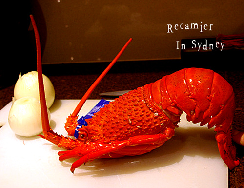 피쉬마켓 이미지