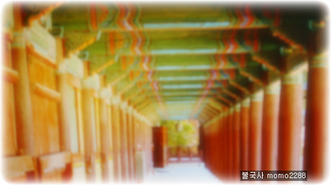 우리다음 이미지