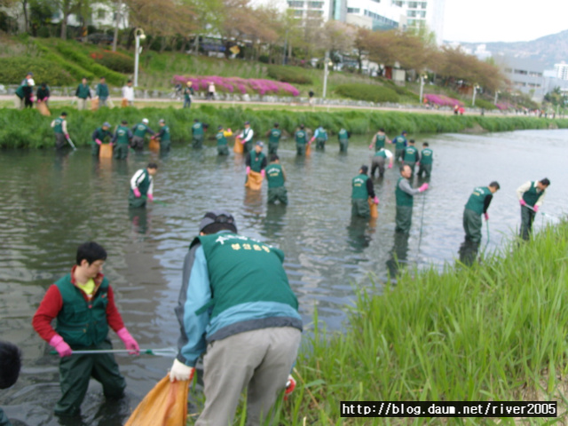 48005f0cd82ec&filename=SNV11447.JPG