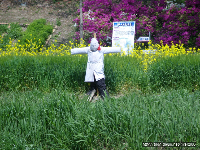 4804be150f027&filename=크기변환_SNV11534.JPG