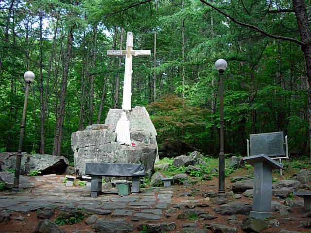겟세마니동산 이미지