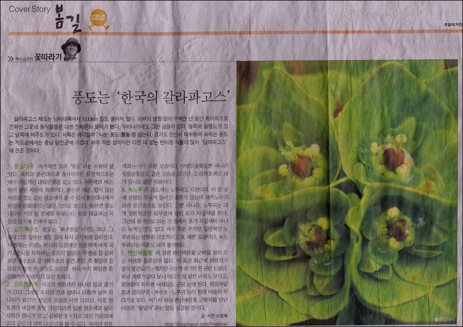 중앙스캔 이미지