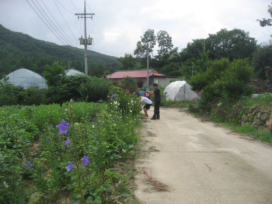 산모리 이미지