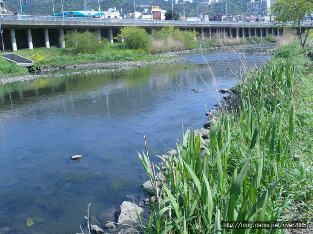480b25018d66b&filename=크기변환_SNV11687.JPG