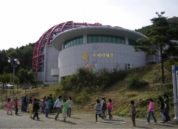 편백림 이미지