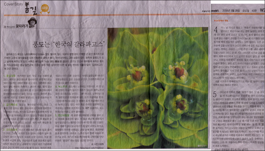 중앙스캔 이미지
