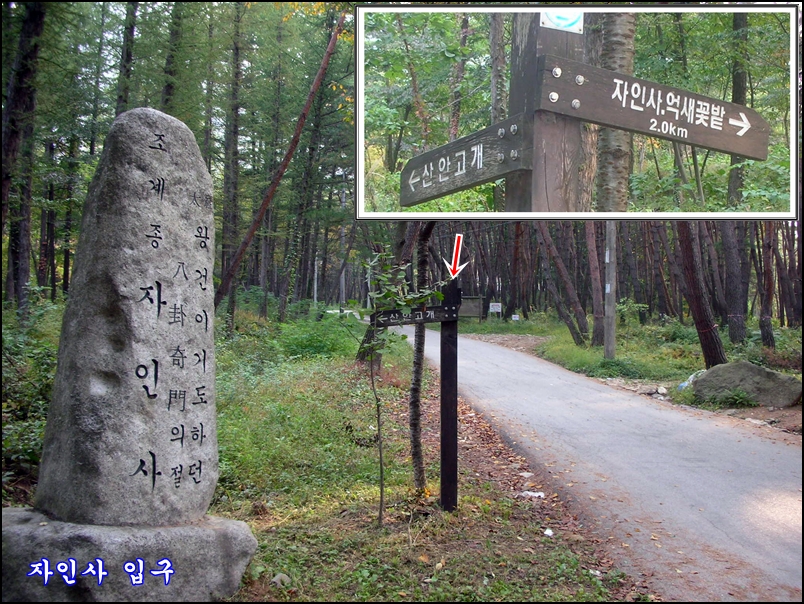 산정호수파크텔 이미지