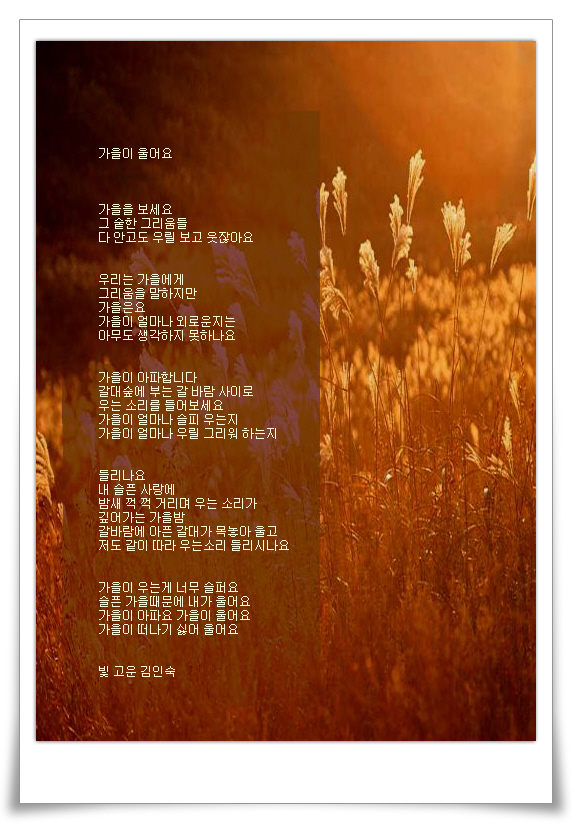 빛고운 이미지