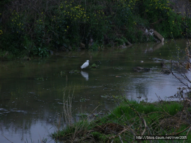 48061ccd3f2a2&filename=크기변환_SNV11634.JPG