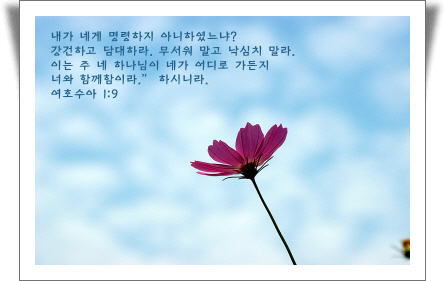 【 (219) 주 네 맘에 들어가시려 하네∼♬  】