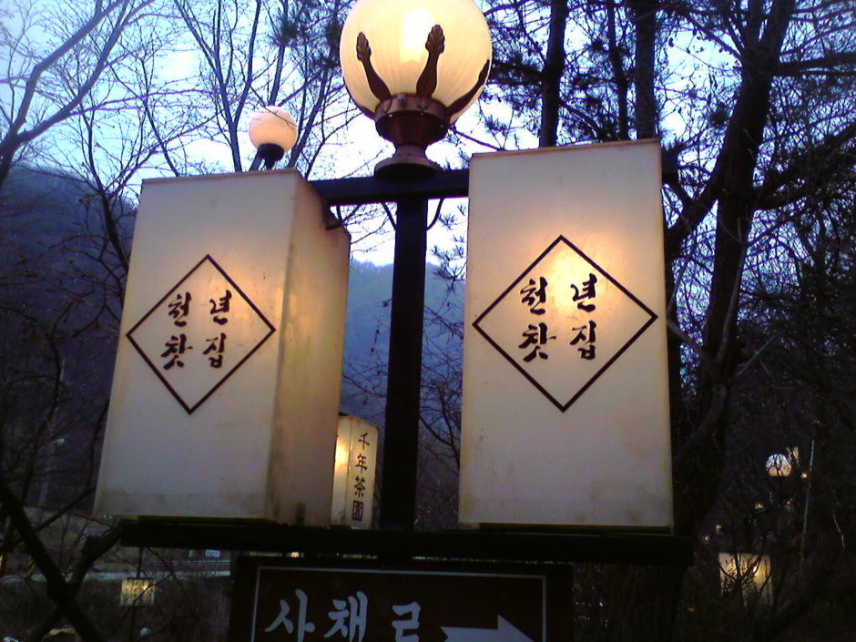 들국화찻집 이미지