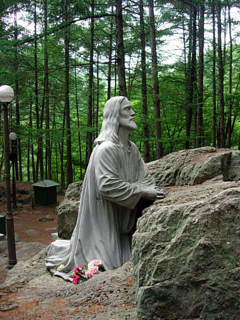 겟세마니동산 이미지