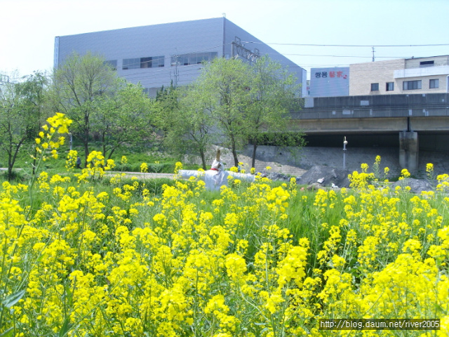 4804bce00709b&filename=크기변환_SNV11521.JPG