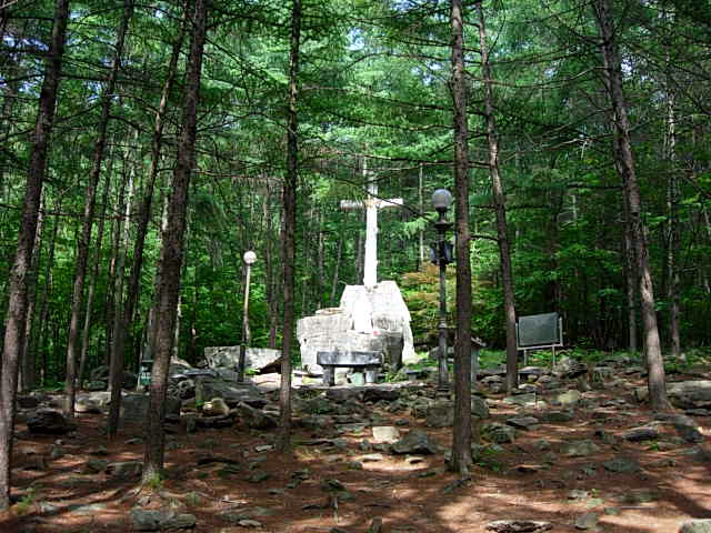겟세마니동산 이미지