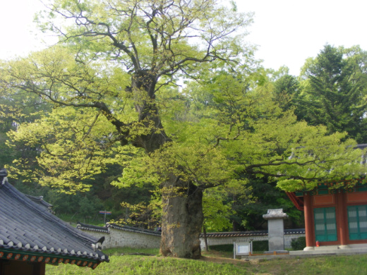 서원식당 이미지