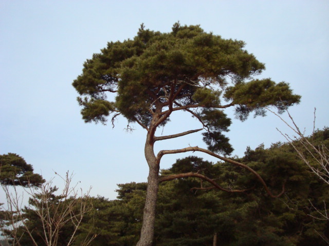 새신리주유소 이미지