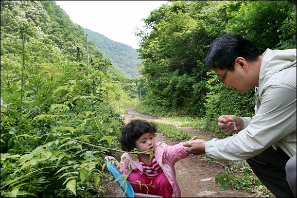 늘 그리움이 있는 고향