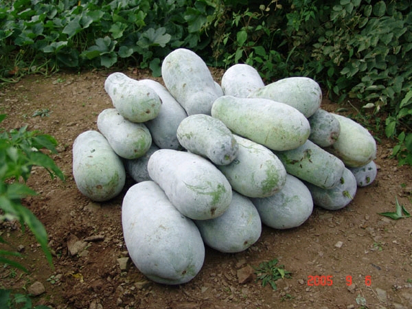 동아중국식품 이미지