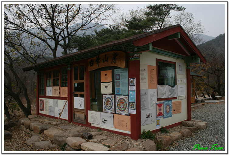 반야다원 이미지