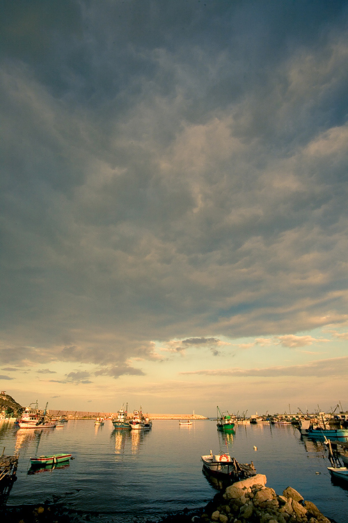 세레나데 이미지