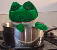 the boiled frog syndrome marty rubin