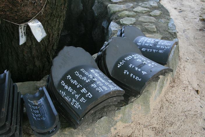 고향면식 이미지