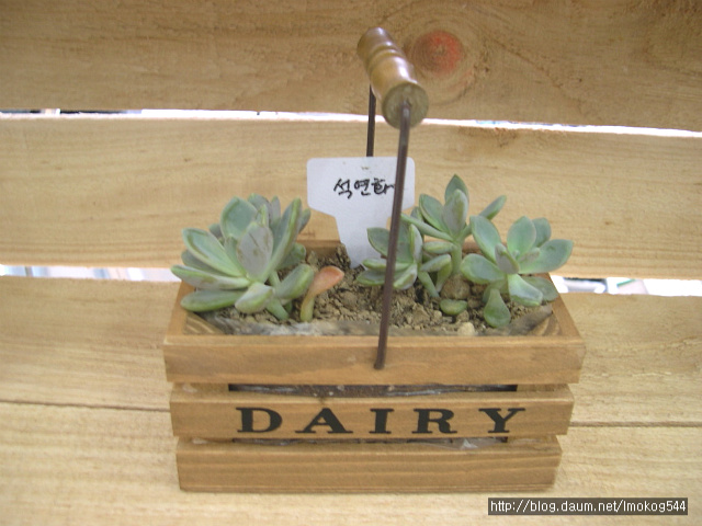 치즈박스 이미지