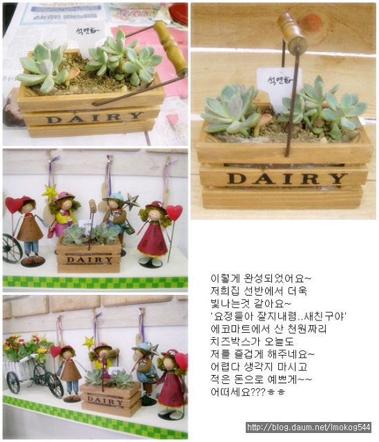 치즈박스 이미지