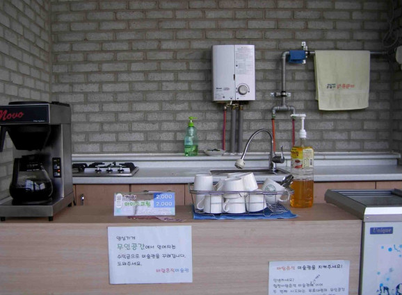 편백림 이미지