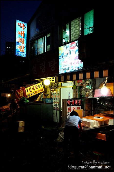 막내회집 이미지