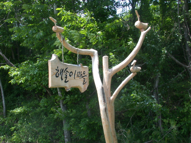 해살이 이미지