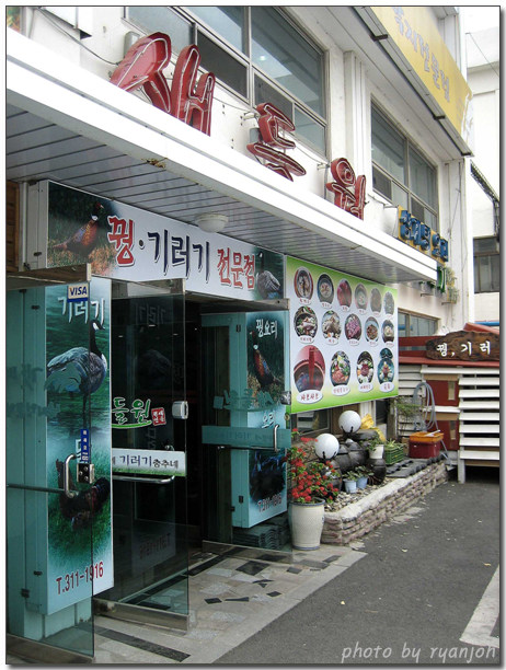 새들원 이미지