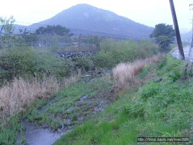 48061d810af70&filename=크기변환_SNV11647.JPG